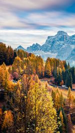 Scenic view of trees on mountain during autumn