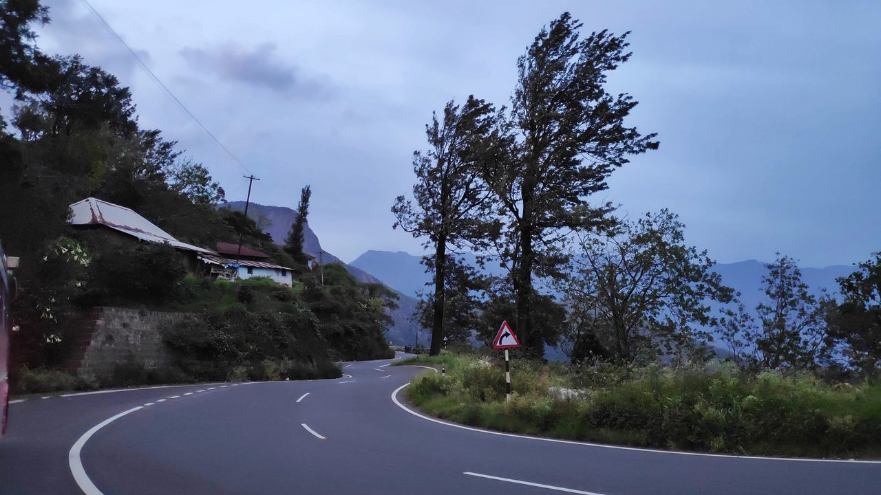 ROAD AMIDST TREES AGAINST SKY