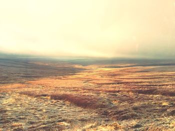 Aerial view of landscape