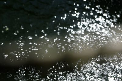 Reflection of trees in water