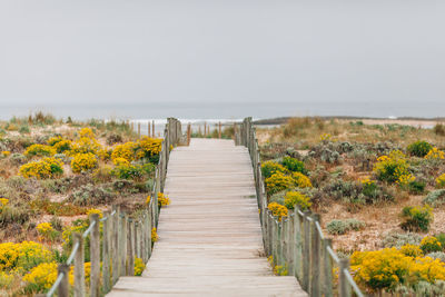 Boardwalk amidst sea against clear sky