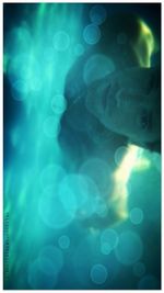 Jellyfish swimming in sea