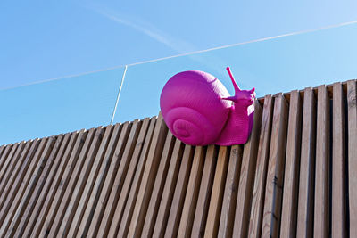 Low angle view of pink balloons against blue sky