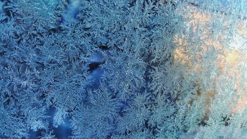 Full frame shot of abstract background