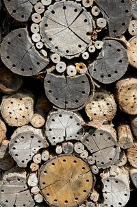 Close-up of wood with holes for bees 