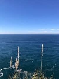 Scenic view of sea against blue sky