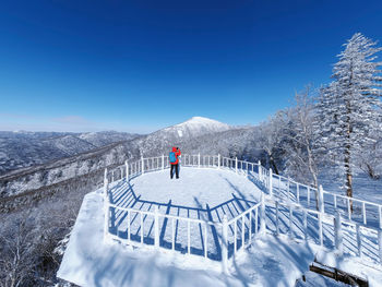 Snow covered trees against blue sky