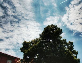 Low angle view of trees against cloudy sky