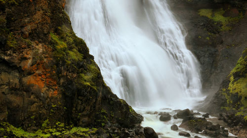 Scenic view of waterfall in forest