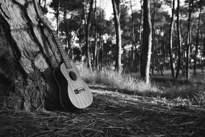 View of guitar on field