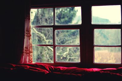 Pink bed by glass window at home