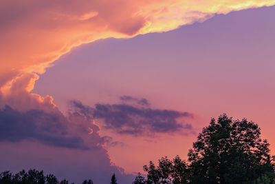 Low angle view of silhouette trees against dramatic sky