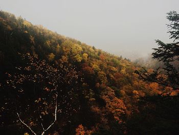 Scenic view of tree mountain against sky