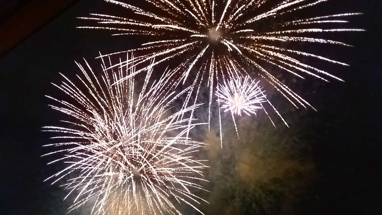 FIREWORK DISPLAY AT NIGHT