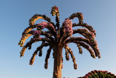 Low angle view of flowering plant against clear blue sky