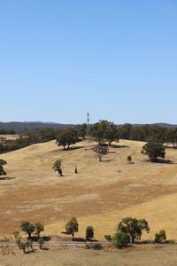 Scenic view of landscape against clear sky