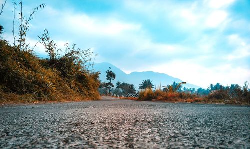 Surface level of road amidst plants against sky