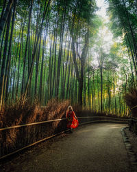 Woman walking against bamboo trees in forest