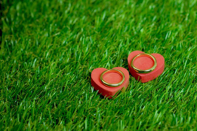 Close-up of heart shape with rings on grass