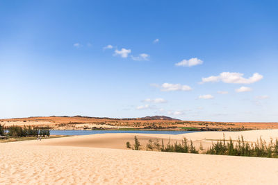 Lake of lotuses at white sand dunes - bau sen, bau trang, ilandmark near mui ne, vietnam.