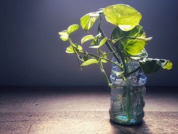 Close-up of glass vase on table