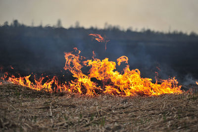 View of bonfire on field against orange sky