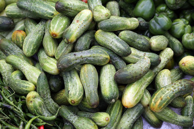 Cucumbers, traditional vegetable market in kolkata