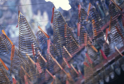 Low angle view of spiral incenses