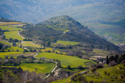 High angle view of agricultural field