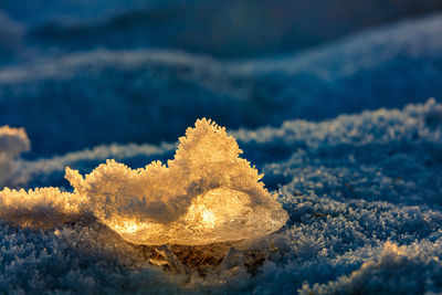 Close-up of snow on beach against sky