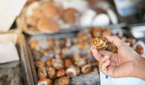 Female customers choose fresh raw shellfish seafood from a large assortment of seafood market store.