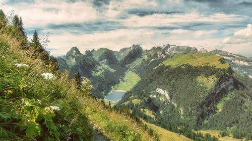 Scenic view of landscape against sky