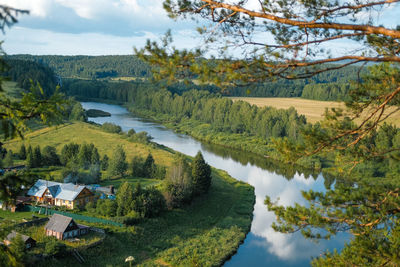 Scenic view of river amidst trees against sky