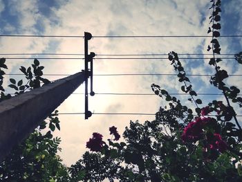 Low angle view of silhouette tree against sky