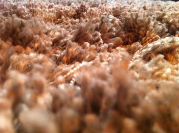 Full frame shot of sand