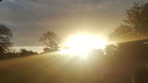 Trees on landscape against sky at sunset
