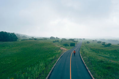 Aerial view of man walking on road amidst field against sky