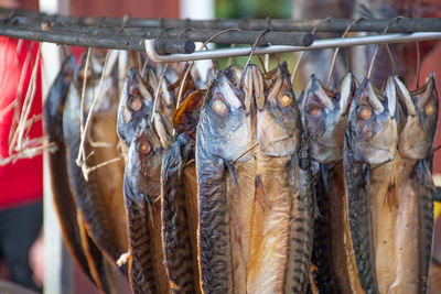 Dry smoked spiced mackerel fish in a fish market, ready to eat