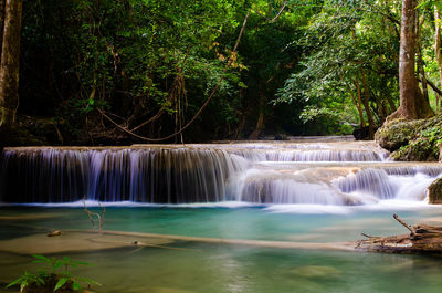 Scenic view of waterfall in forest