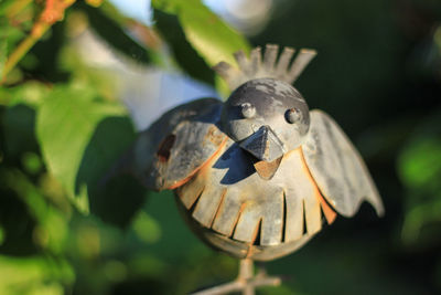 Close-up of bird flying