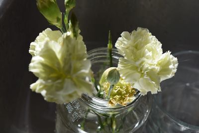 High angle view of white flower in glass vase on table
