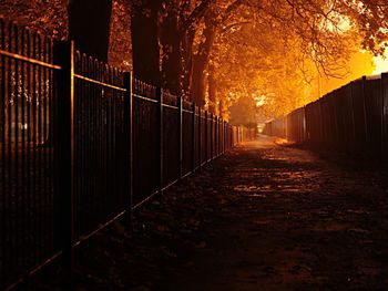 Footbridge amidst trees at night