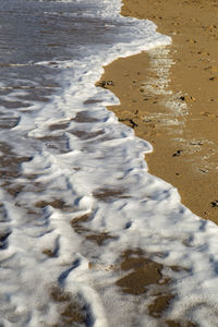 High angle view of bird on sand at beach