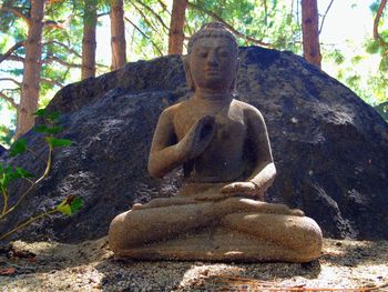 Statue of tree trunk