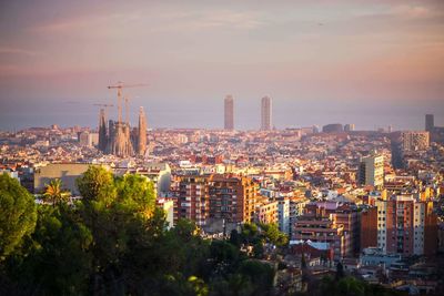 Aerial view of city at sunset