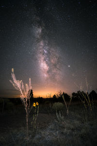 Scenic view of field against sky at night