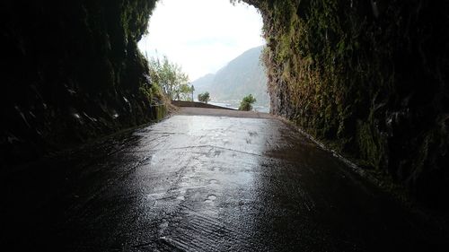 Road amidst trees against sky