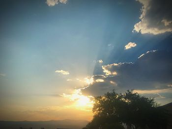 Low angle view of silhouette trees against sky during sunset