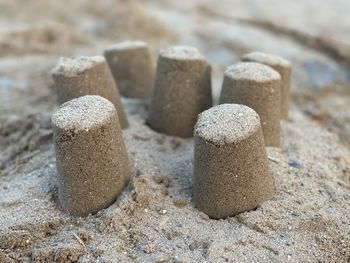Close-up of cupped sands stones on sand