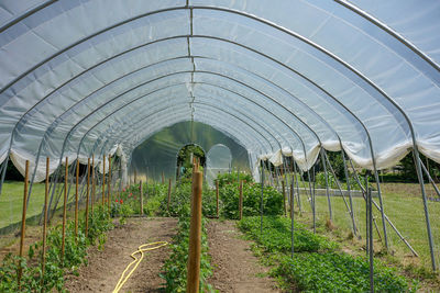 Scenic view of field seen through greenhouse
